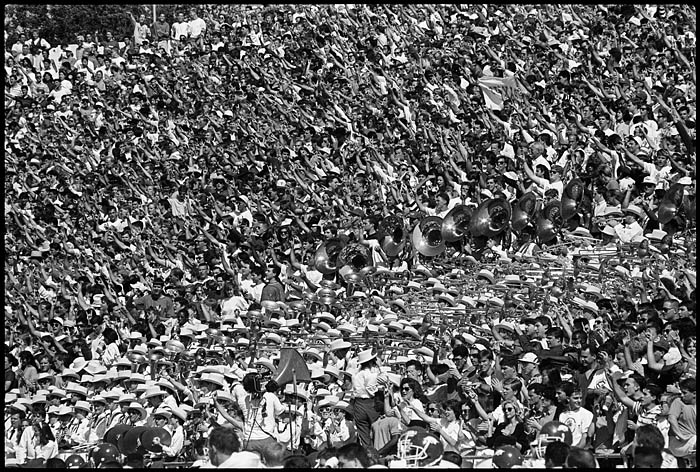 PDS199010BNW32422F22