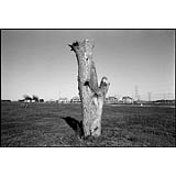 PDS19880432077F25CT1