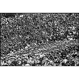 PDS199010BNW32422F22CT